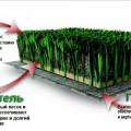 Газонная трава – когда сажать и как правильно это делать