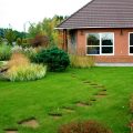 Как посеять газон на даче. Идеальное зеленое покрытие — с нуля